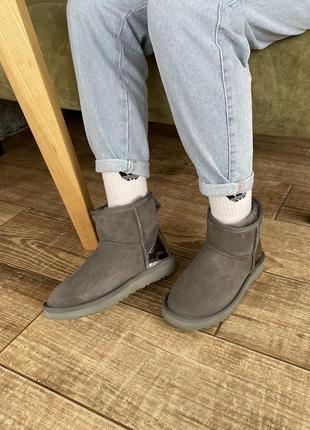 Зимові уггі ugg classic mini ii metallic gray