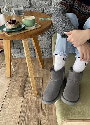 Зимові уггі ugg classic mini ii metallic gray2 фото