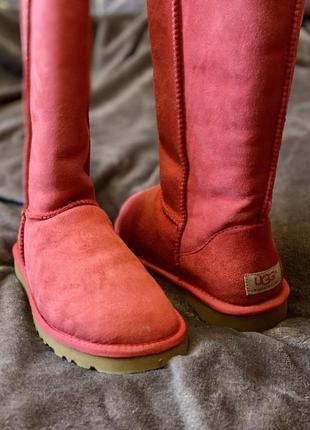 Ugg5 фото