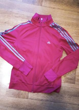 Кофта жіноча adidas originals розмір l6 фото