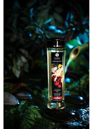 Органическое массажное масло shunga organica - exotic green tea (240 мл) с витамином е1 фото