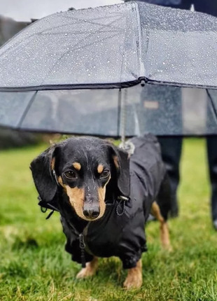 Зонт-поводок, дождевик для собак