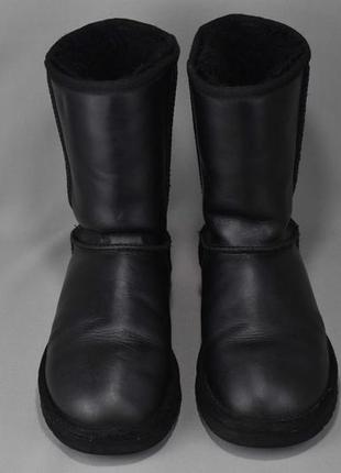 Ugg australia classic short уггі черевики чоботи жіночі зимові хутро овчина цигейка оригінал38р/24см4 фото