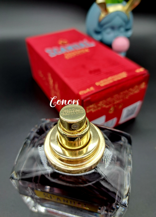 Палетка теней и хайлайтеров dodo girl (b)