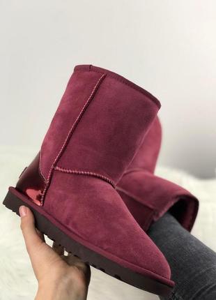 Ugg classic short уггі розміри 36-40