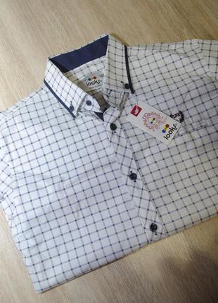 Стильна рубашка в клітинку на довгий рукав