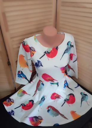 Сукня кольорова в принт пташки, анімалістичний принт1 фото