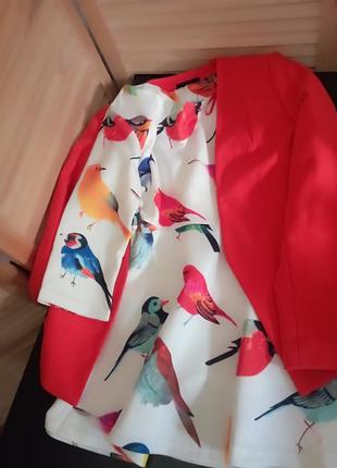 Сукня кольорова в принт пташки, анімалістичний принт6 фото
