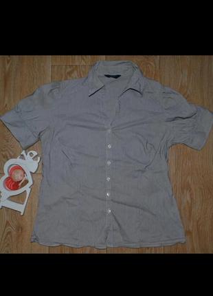 Блуза в смужку на 48-50 розмір