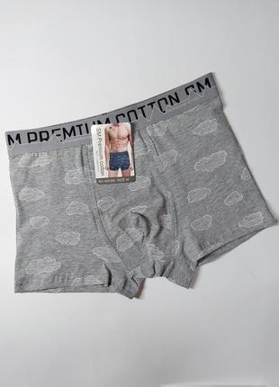 Серые боксеры с облаками