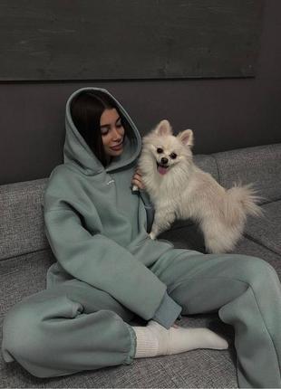 Стильный спортивный костюм на флисе с капюшоном. цвета: мята, черный, зелёный, белый, серый, графит, хаки, электрик. размер: 42-44, 46-48