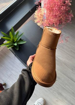 Жіночі угги ugg classic женские уггы