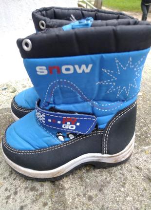 Зимові чоботи, сапожки snow4 фото