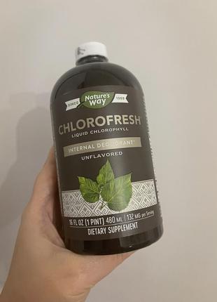 Хлорорфилл chlorofresh3 фото