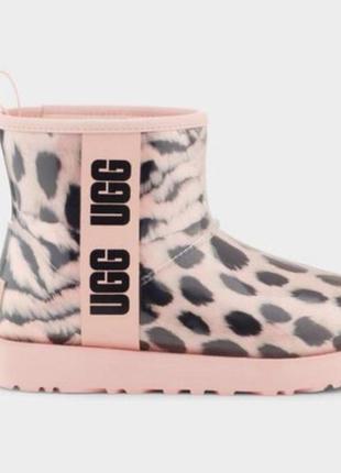 Оригінальні жіночі уги від ugg usa3 фото