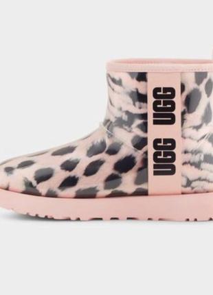 Оригинальные женские угги от ugg ausa5 фото