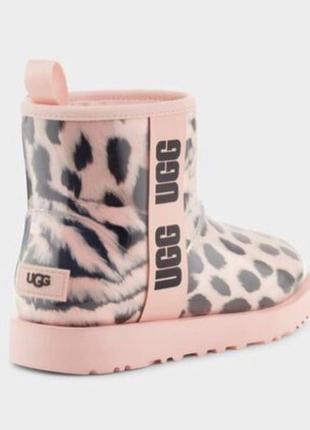 Оригинальные женские угги от ugg ausa6 фото