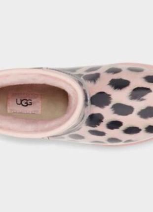 Оригинальные женские угги от ugg ausa7 фото