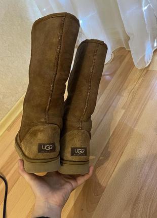 Сапоги ugg женские угги w8 р.393 фото