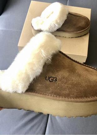 Шльопанці рижі овчина ugg бренд