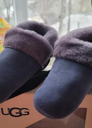 Зимове взуття  уггі ugg оригінал