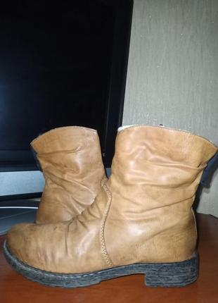 Сапожки зимові