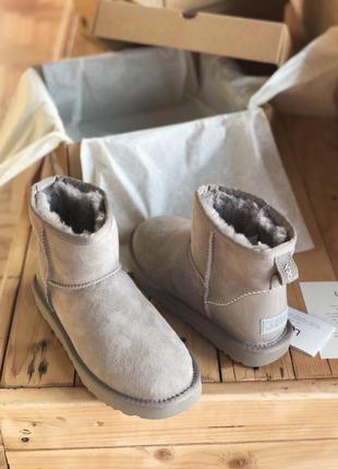 Валянки женские, угги замшевые, ugg, цвет мокко