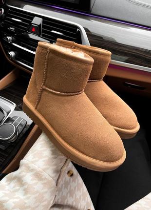 Женские угги ugg