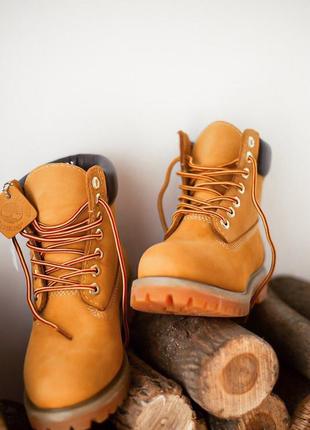 Жіночі ботінки timberland женские ботинки тимберленд