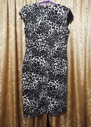 Сукня принт леопарда2 фото