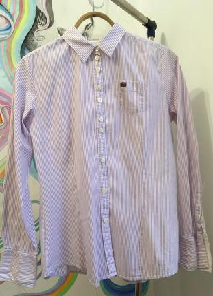 Оригинальная хлопковая рубашка в мелкую розово-сиреневую полоску от napapijri3 фото