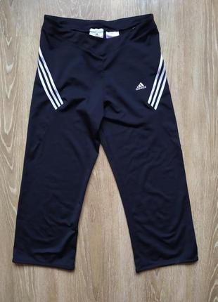 Бріджи adidas