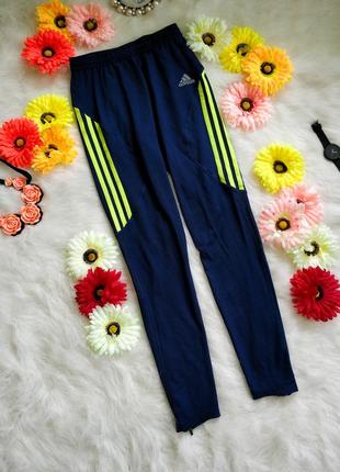 Спортивні штани adidas clima cool 365