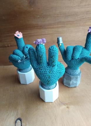 Цветок кактус 6