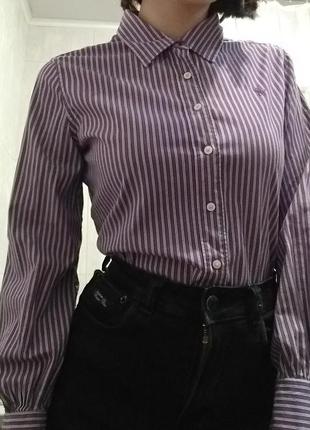 Сорочка ralph lauren