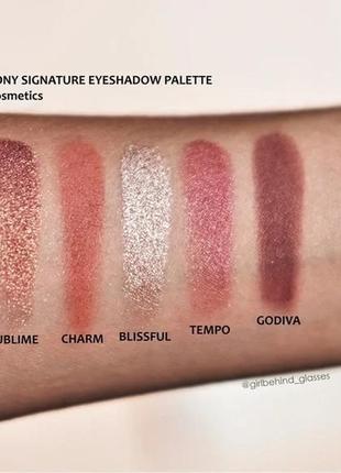 Палетка тіней + хайлайтер ofra signature eyeshadow palette symphony3 фото