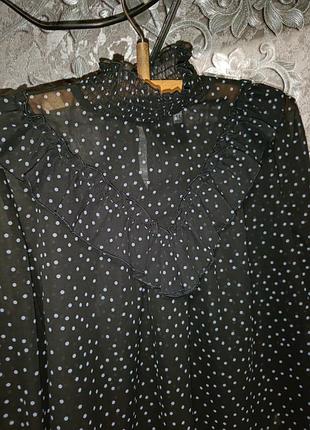 Блуза 8