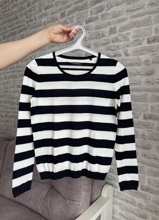 Светр у смужку Polo Basique Eduardo Rose Pour Homme розмір s