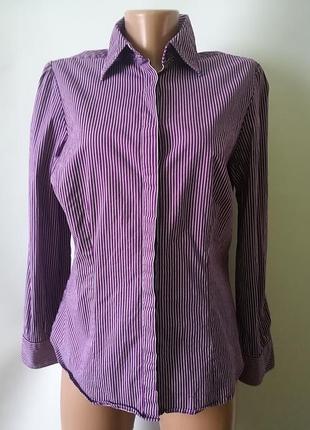 Приталені сорочка в смужку