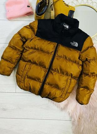 Дутік теплий