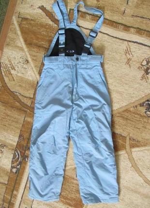 Зимовий полукомбинизон лижні штани на підтяжках 110/1161 фото