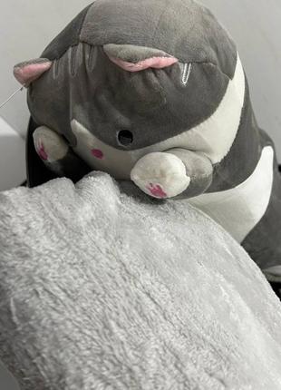 Кот пледика 110/1502 фото