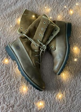 Черевики timberland