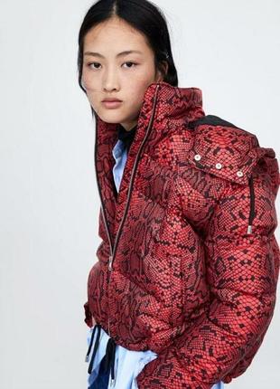 Snakeskin puffer jacket zara best sale
