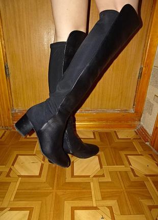 Сапоги-ботфорты hogl