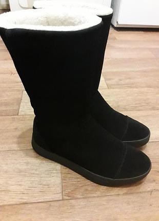 Замшевые сапоги/ угги adidas 23 см