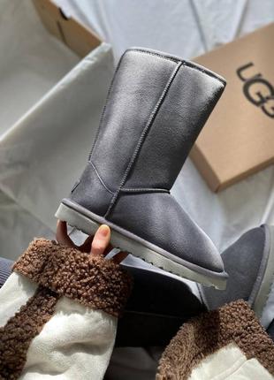 Ugg classic tall ii boot grey, женские угги высокие, уггі жіночі