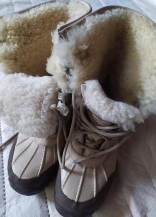 Теплі чоботи ugg australia