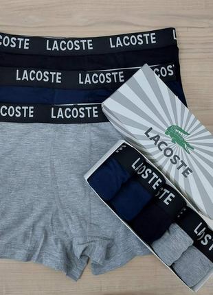 Чоловічі боксери в стиле lacoste 2