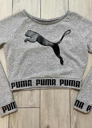 Кроп топ puma лонгслів оригінал жіноча кофта пума світшот